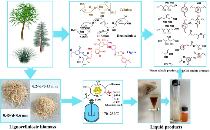 华南理工付时雨团队bioresourtechnol温和条件下以pd和杂多酸将生物质