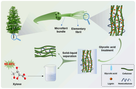 bioresour technol 桉木半纤维素的高效提取利用乙醇酸预处理