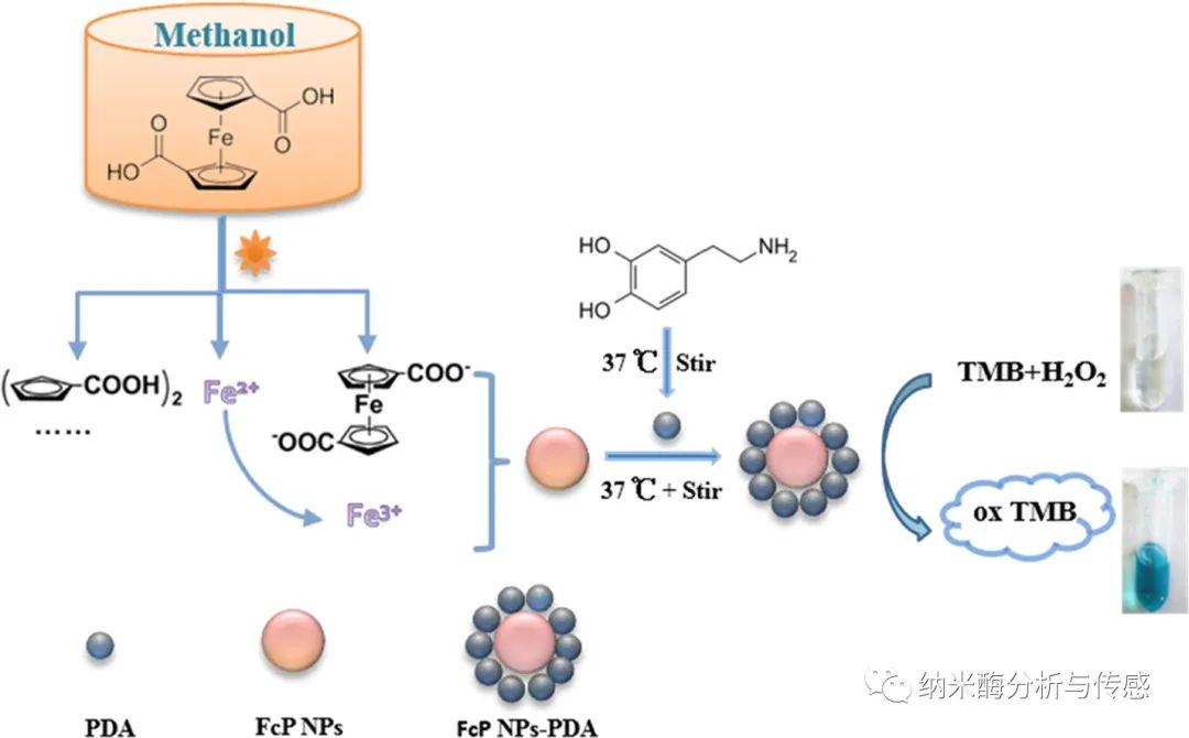 《talanta》基于聚多巴胺包覆的二茂铁衍生物聚合物纳米颗粒的新型