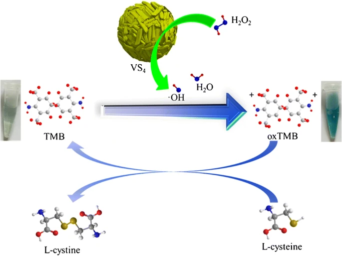 《Microchim. Acta》四硫化钒亚微球的类过氧化物酶活性及其在过氧化氢和L-半胱氨酸比色检测中的应用-Jack Zhang-科易网技术创新