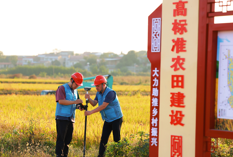 技术人员在丰山镇丰新村高标准农田现场安装物联网设备