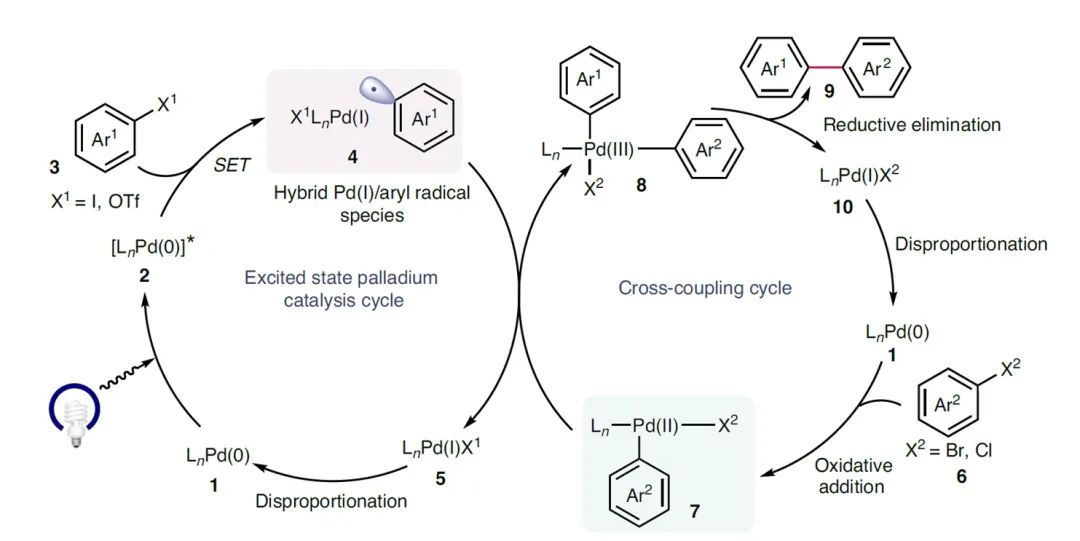 Nat. Catal.：“绕过”转金属交换，实现C(sp2)C(sp2)亲电交叉偶联CBG资讯科易网技术创新